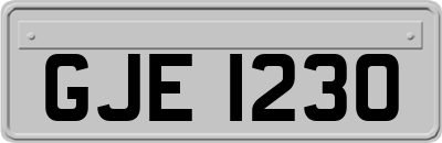 GJE1230