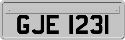 GJE1231