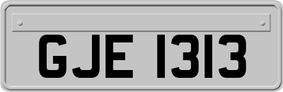 GJE1313