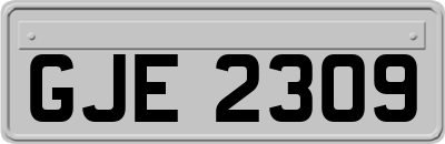 GJE2309
