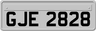 GJE2828