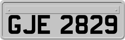 GJE2829