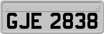 GJE2838