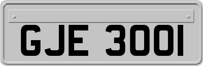 GJE3001