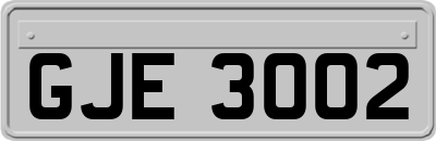 GJE3002