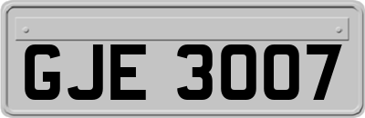 GJE3007