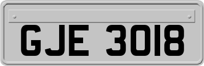 GJE3018