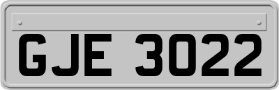 GJE3022