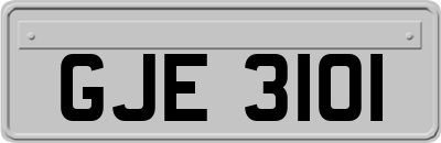 GJE3101