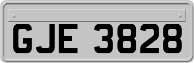 GJE3828