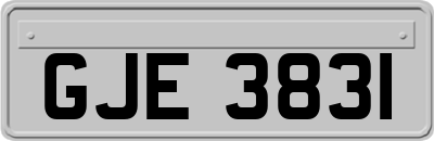 GJE3831