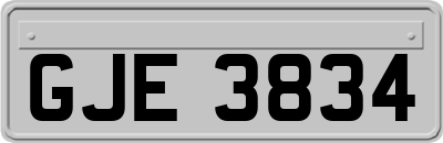 GJE3834