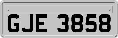 GJE3858