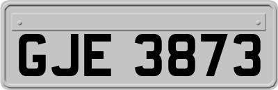 GJE3873