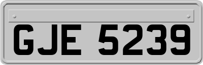 GJE5239