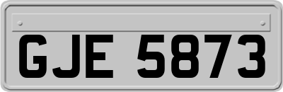 GJE5873
