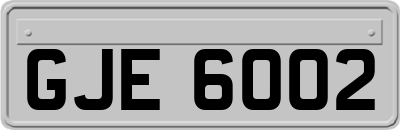 GJE6002