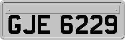 GJE6229