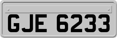 GJE6233