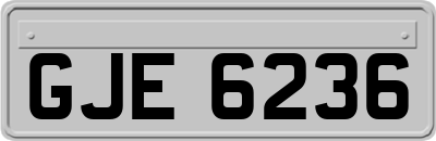 GJE6236