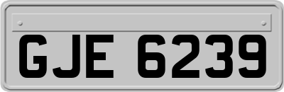 GJE6239