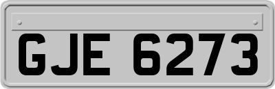 GJE6273