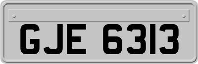 GJE6313