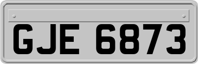 GJE6873
