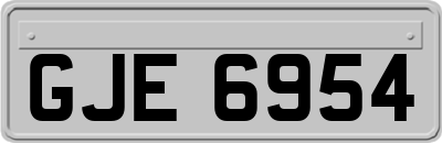 GJE6954