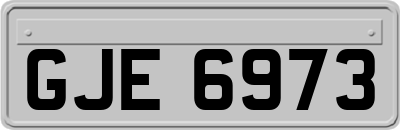 GJE6973