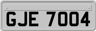 GJE7004