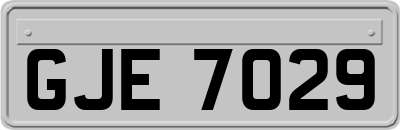GJE7029