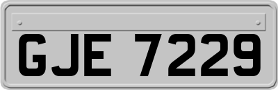 GJE7229