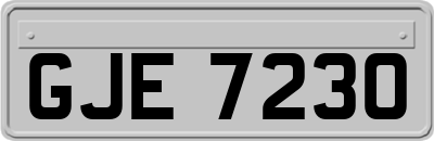 GJE7230