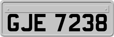 GJE7238