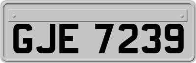 GJE7239