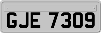 GJE7309