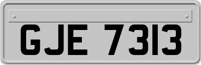 GJE7313
