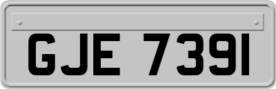 GJE7391