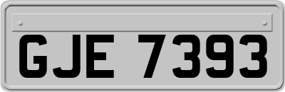 GJE7393