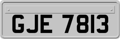 GJE7813