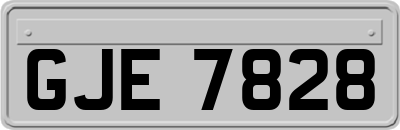 GJE7828