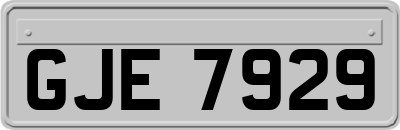 GJE7929