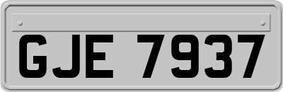 GJE7937