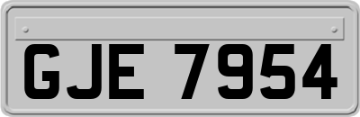 GJE7954