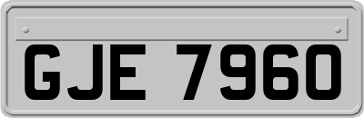 GJE7960