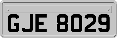 GJE8029