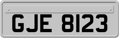 GJE8123