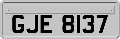 GJE8137