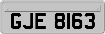 GJE8163